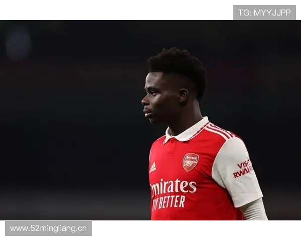 稳定性之王:萨卡为何几乎没有低谷